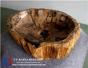 Petrified Wood Sink