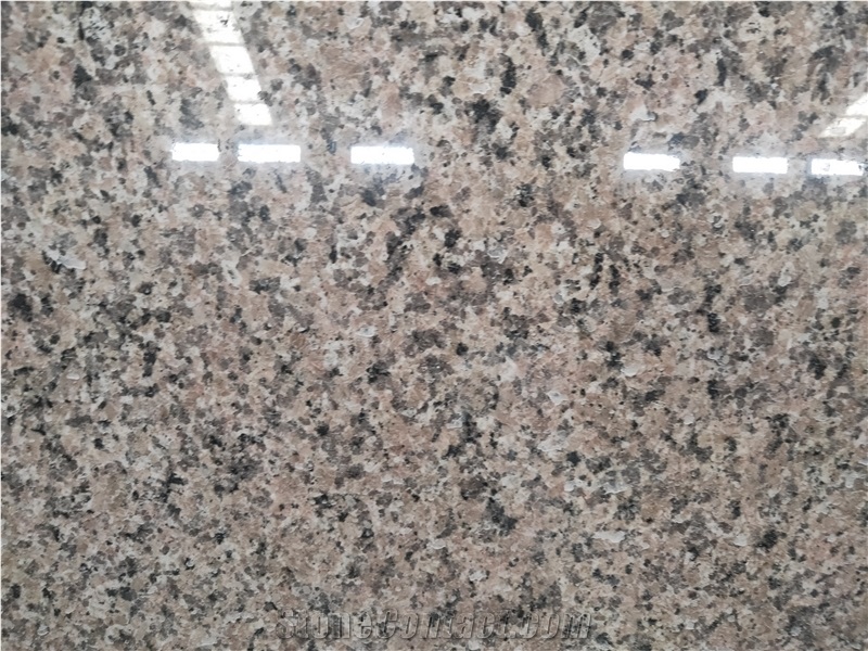 Chinese Rosa Porrino Pink Granite Slabs and Tiles