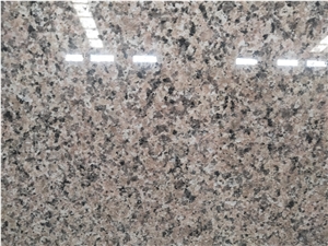 Chinese Rosa Porrino Pink Granite Slabs and Tiles