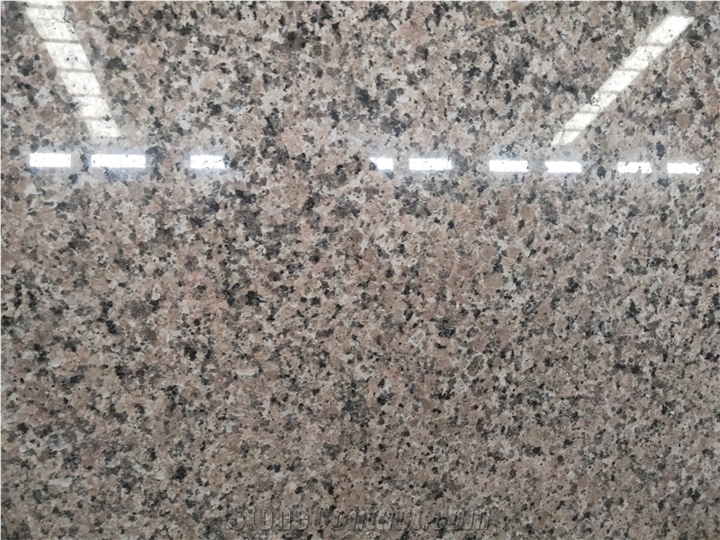 Chinese Rosa Porrino Pink Granite Slabs and Tiles