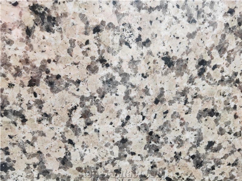 Chinese Rosa Porrino Pink Granite Slabs and Tiles