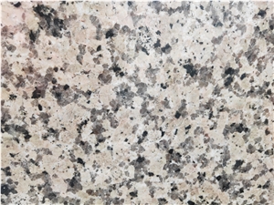Chinese Rosa Porrino Pink Granite Slabs and Tiles