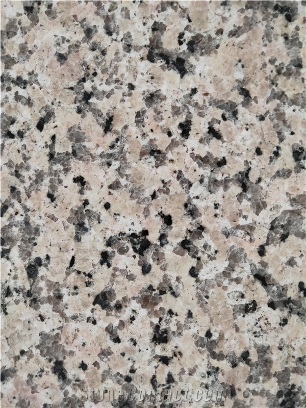 Chinese Rosa Porrino Pink Granite Slabs and Tiles