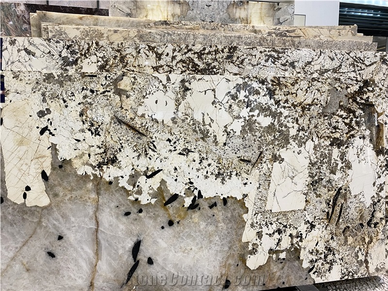 Patterned Patagonia Quartzite Slabs Blanc Du Blanc