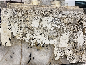 Patterned Patagonia Quartzite Slabs Blanc Du Blanc