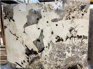 Patterned Patagonia Quartzite Slabs Blanc Du Blanc