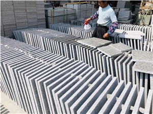 G603 Silver Grey Granite Tiles Flamed Paving Slab