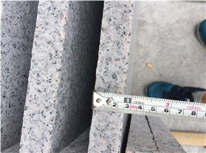 G603 Silver Grey Granite Tiles Flamed Paving Slab