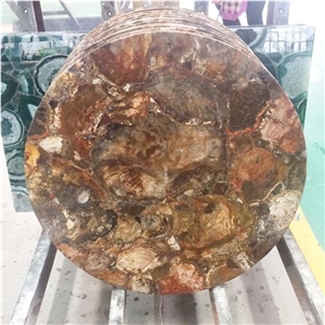 Custom Petrified Wood Table Top Countertop