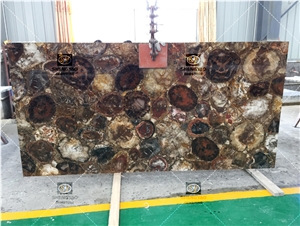 Custom Size Gemstone Slab Petrified Wood Slabs