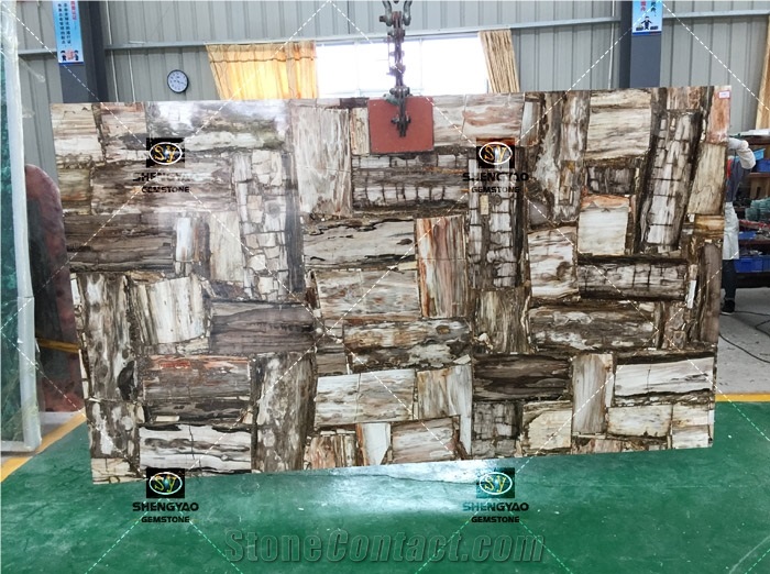 Custom Size Gemstone Slab Petrified Wood Slabs