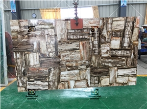 Custom Size Gemstone Slab Petrified Wood Slabs