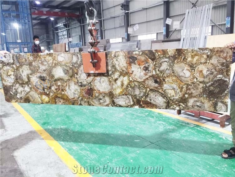 Custom Size Gemstone Slab Petrified Wood Slabs