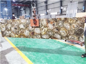 Custom Size Gemstone Slab Petrified Wood Slabs