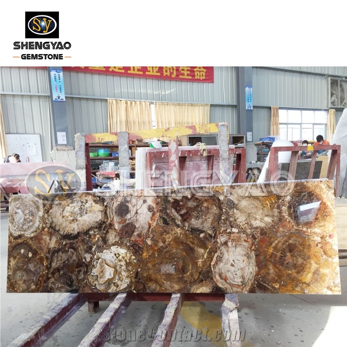 Fossil Stone Petrified Wood Slab