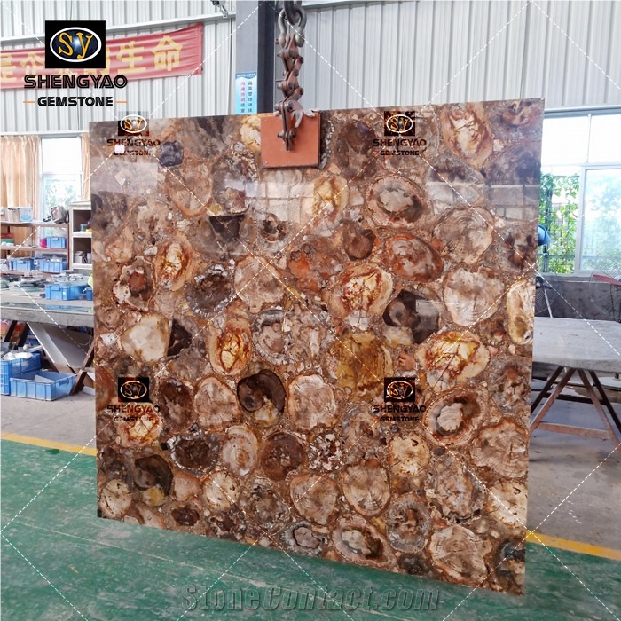 Fossil Stone Petrified Wood Slab