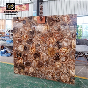 Fossil Stone Petrified Wood Slab