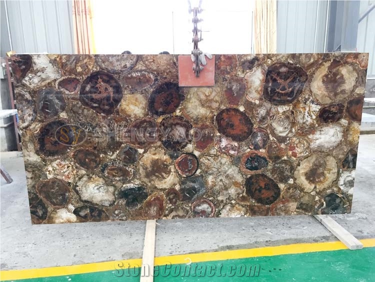 Natural Petrified Wood Slab for Sale
