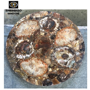 Natural Stone Petrified Wood Semiprecious Stone Table Top