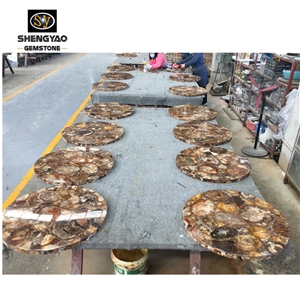 Natural Stone Petrified Wood Semiprecious Stone Table Top