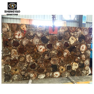 Natural Stone Petrified Wood Semiprecious Stone Table Top