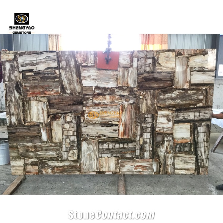 Natural Stone Petrified Wood Semiprecious Stone Table Top
