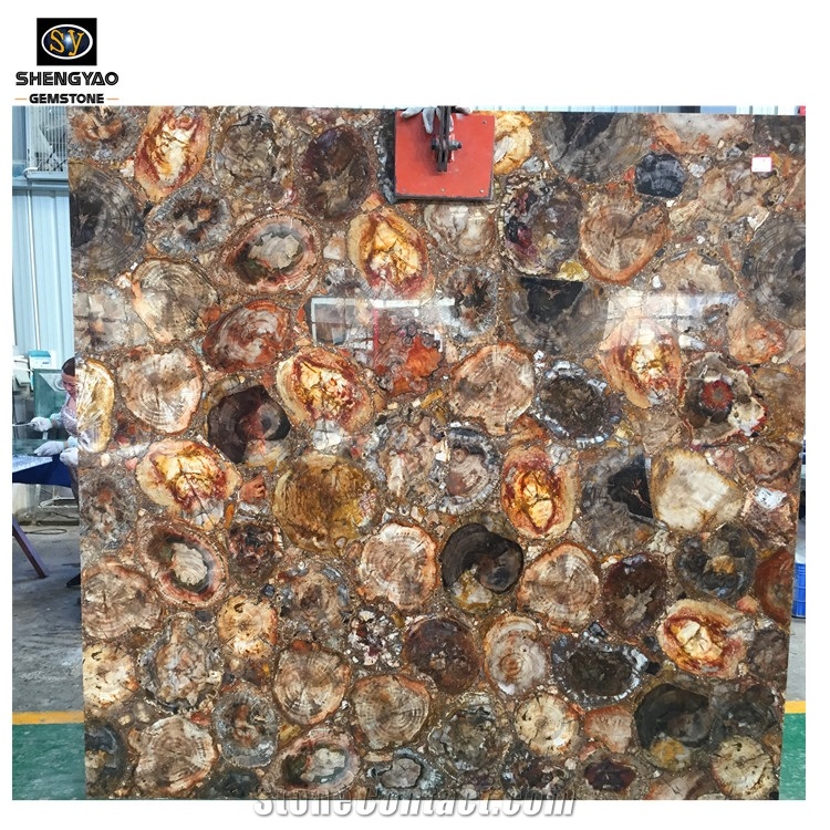 Natural Stone Petrified Wood Semiprecious Stone Table Top