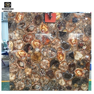 Natural Stone Petrified Wood Semiprecious Stone Table Top