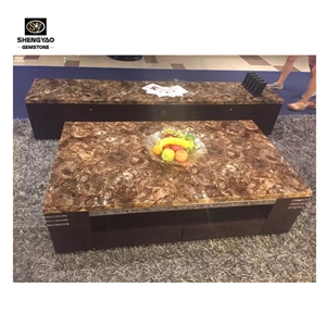 Petrified Wood Slab Gemstone Table Top