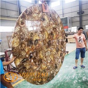 Petrified Wood Slab Gemstone Table Top