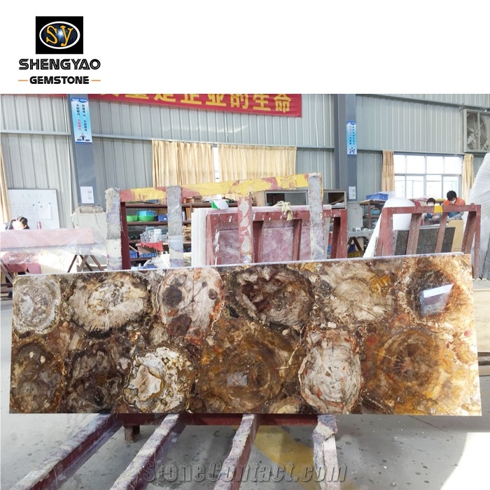 Petrified Wood Slab Semi Precious Stone Slabs