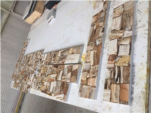 Petrified Wood Stone Cut to Size Tiles