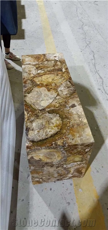 Polished Petrified Wood Stone for Desk Tops