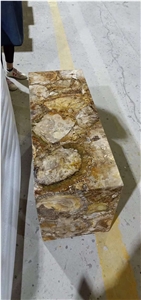 Polished Petrified Wood Stone for Desk Tops