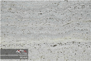 Silver Travertine Slab, Tile Silver Travertine Slab, Tile