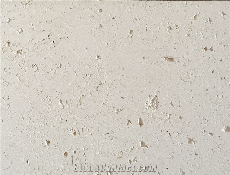 Ivory White Cheese Limestone
