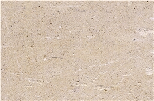 Paris Limestone Slab