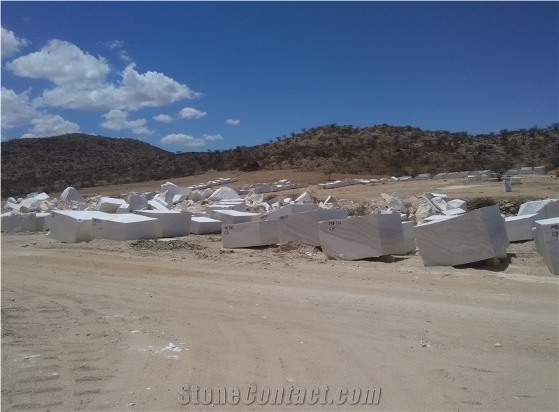 Bianco Canyon Marble Marble Blocks