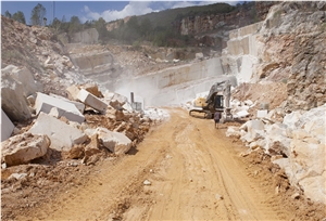 Botticino Classico Marble Blocks