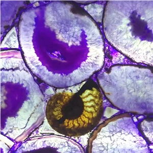 Backlit Purple Semi Precious Stone Fossil Stone