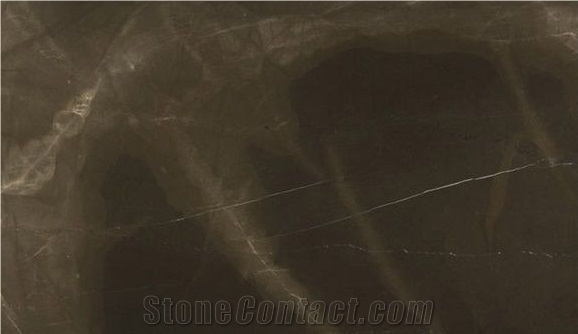 Bronze Armani Marble Tiles, Spain Brown Marble