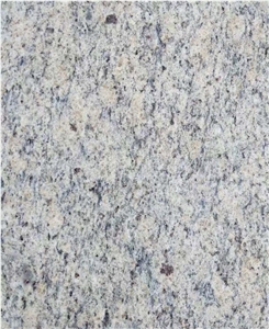 Brazil Giallo San Francisco Sf Real Granite Price
