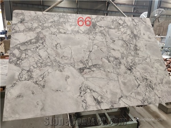 Calacatta Matarazzo Marble Brazilian Arabescato