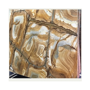 Polished Yellow Palomino Quartzite Slabs