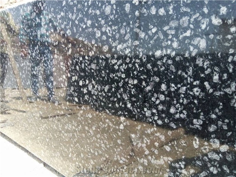 Top Quality Coin Black Granite Slabs