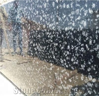 Top Quality Coin Black Granite Slabs