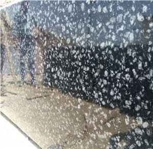 Top Quality Coin Black Granite Slabs