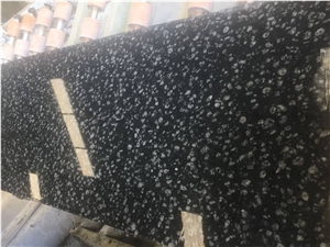 Top Quality Coin Black Granite Slabs