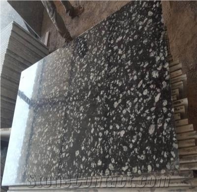 Top Quality Coin Black Granite Slabs