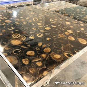 Translucent Polished Brown Agate Semiprecious Stone Wall Panel